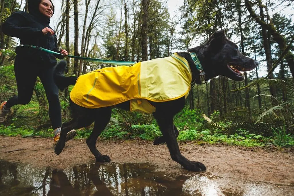 NEW COLOURS! Sun Shower Dog Raincoat - Waterproof, Windproof