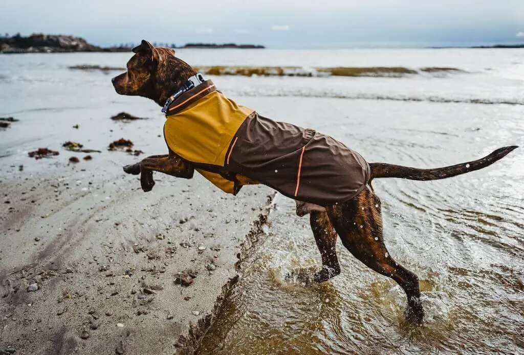 NEW COLOURS! Sun Shower Dog Raincoat - Waterproof, Windproof